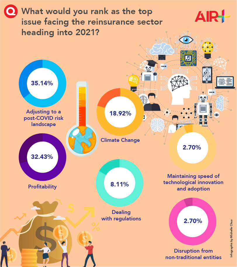 Reinsurance Issue Survey